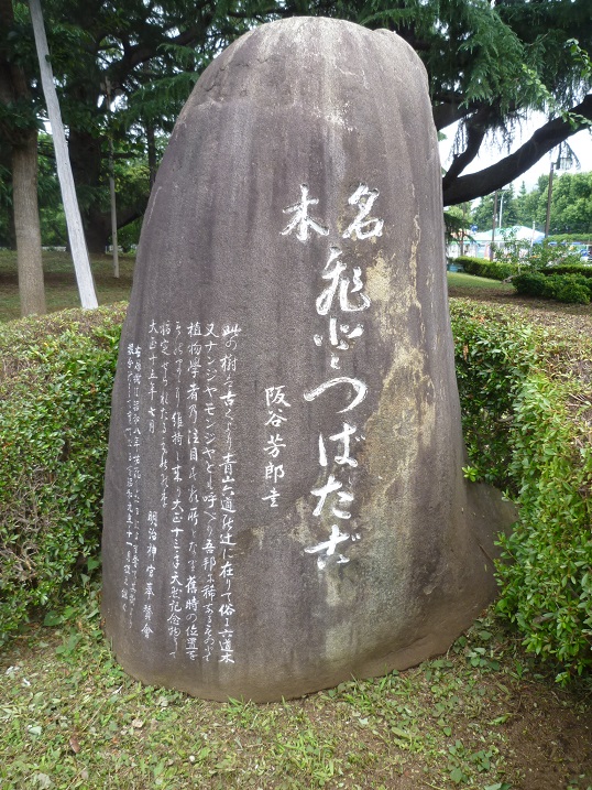 f:id:ek0901:20190731113504j:plain f:id:ek0901:20190731113504j:plain