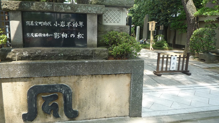 イメージ 12