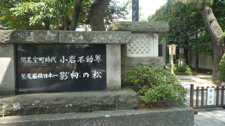 イメージ 13