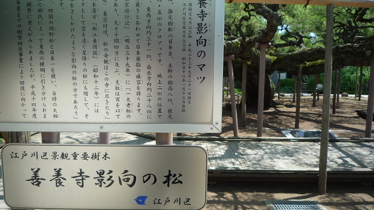 イメージ 20