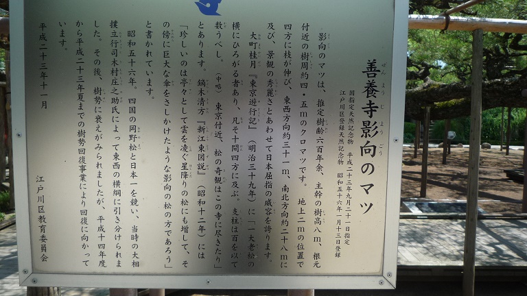 イメージ 22