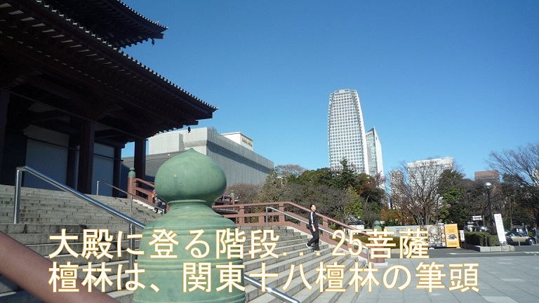 イメージ 17