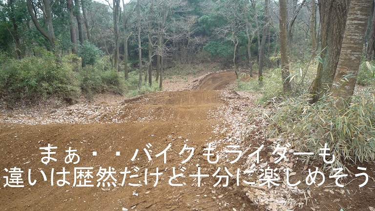 イメージ 39
