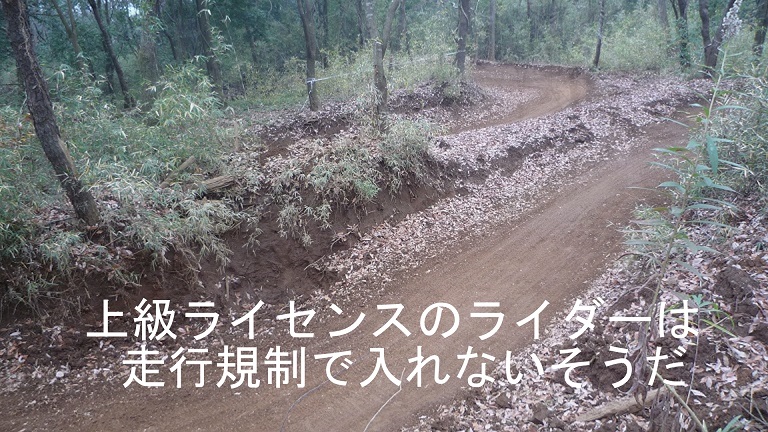 イメージ 40