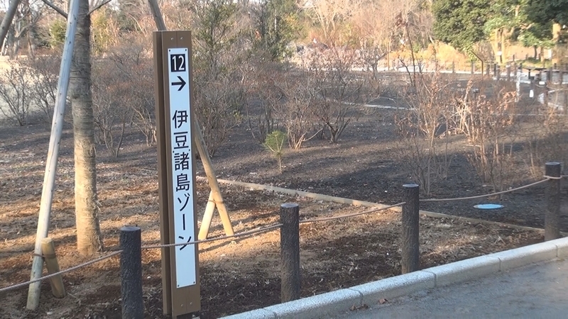 イメージ 11