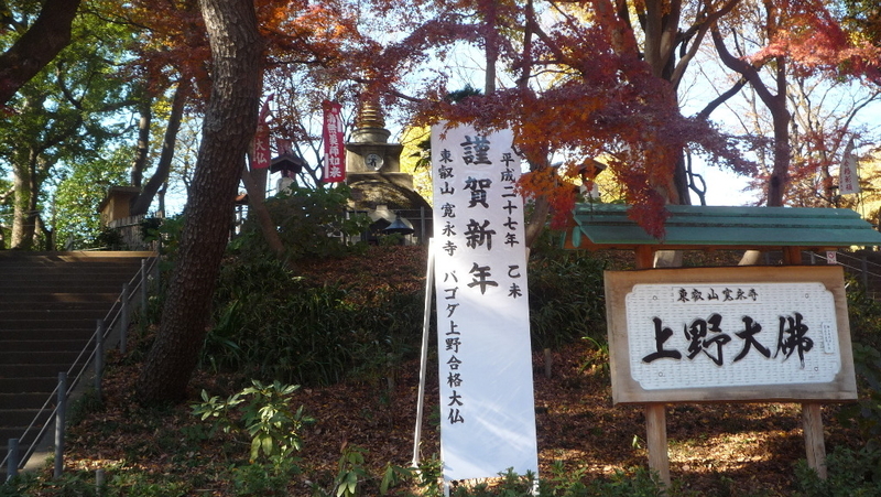 イメージ 8