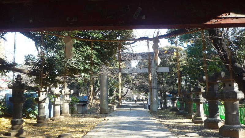 イメージ 8