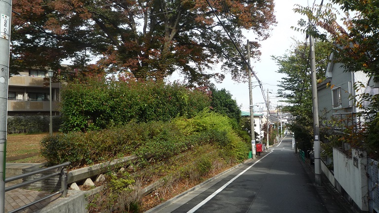 イメージ 23