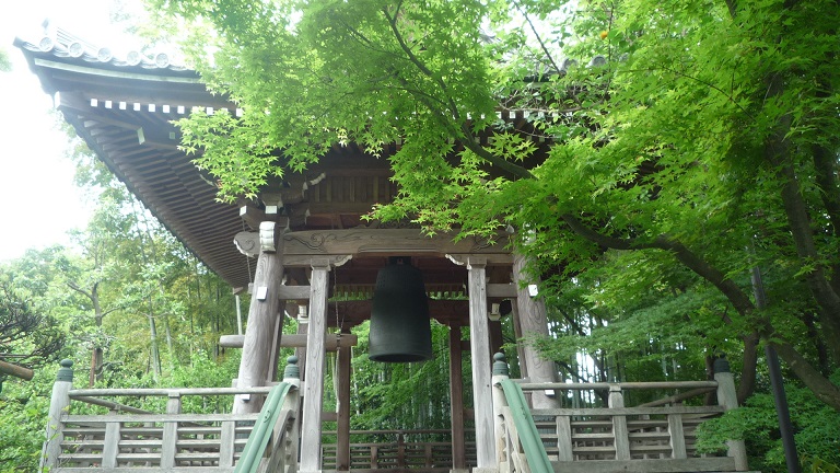 イメージ 13