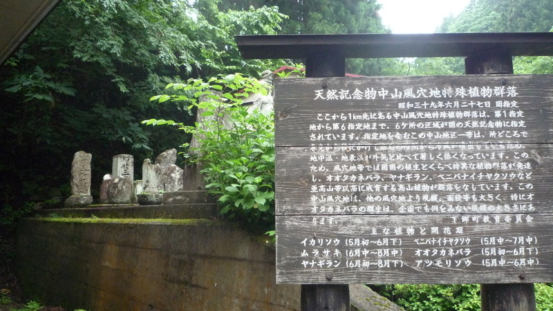 イメージ 5