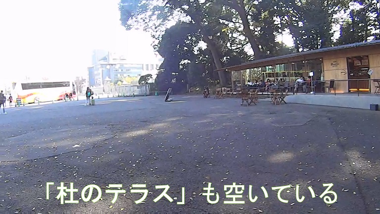 イメージ 16