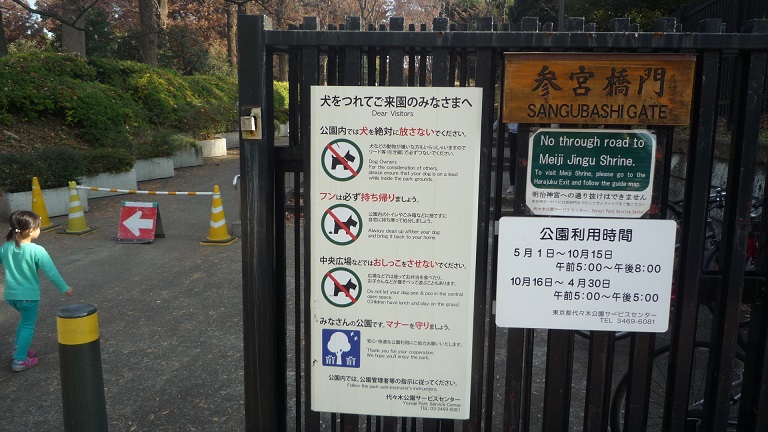 イメージ 37