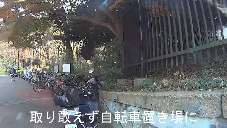 イメージ 7