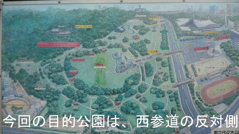 イメージ 8