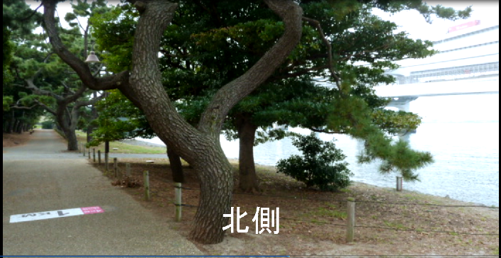 イメージ 2