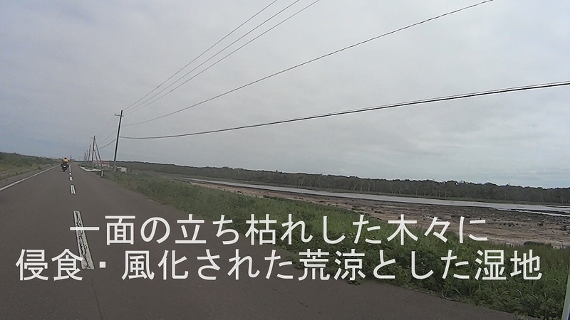 イメージ 12