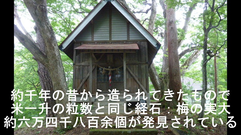 イメージ 31