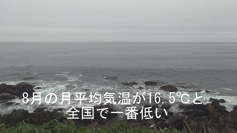 イメージ 29