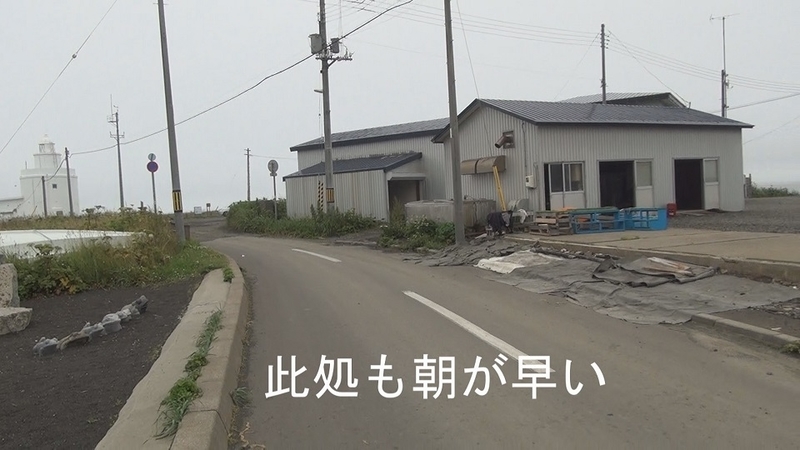 イメージ 5