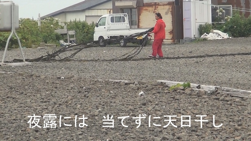 イメージ 9