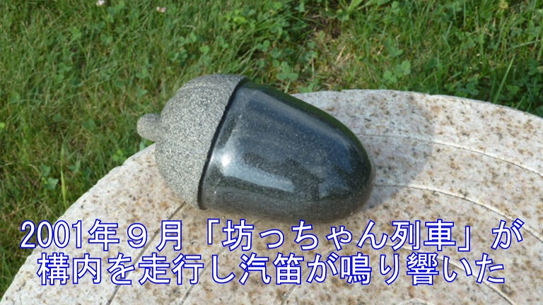 イメージ 31
