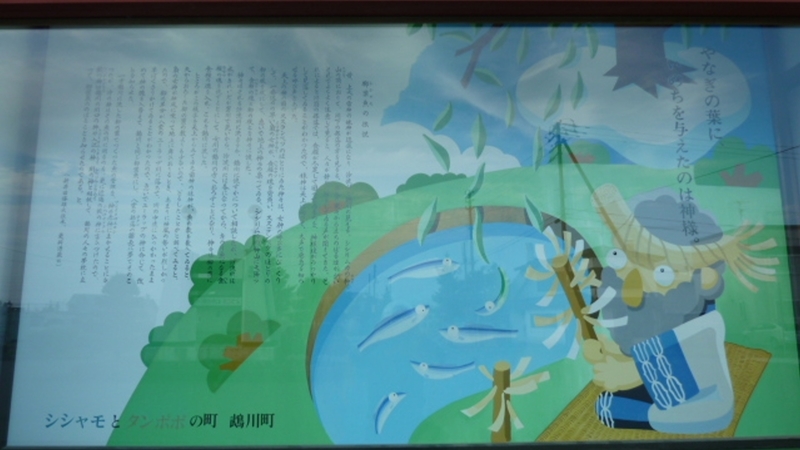 イメージ 37