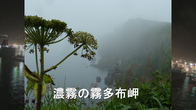イメージ 34