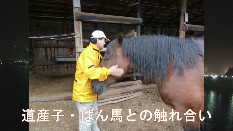 イメージ 36