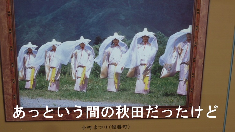 イメージ 14