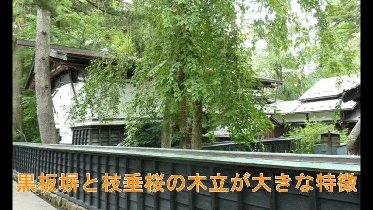 イメージ 12