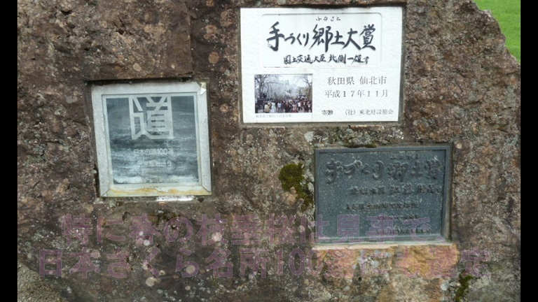 イメージ 16