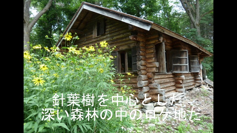 イメージ 16