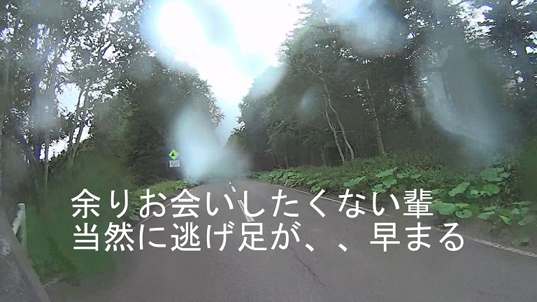 イメージ 6