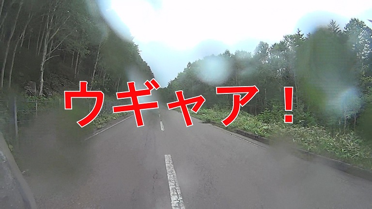 イメージ 7
