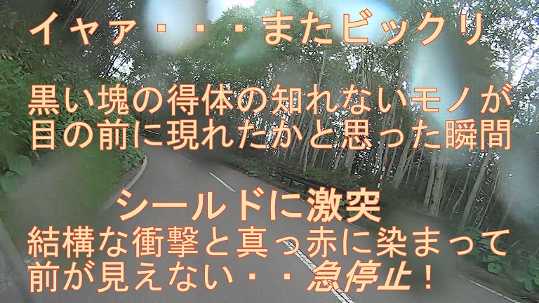 イメージ 8