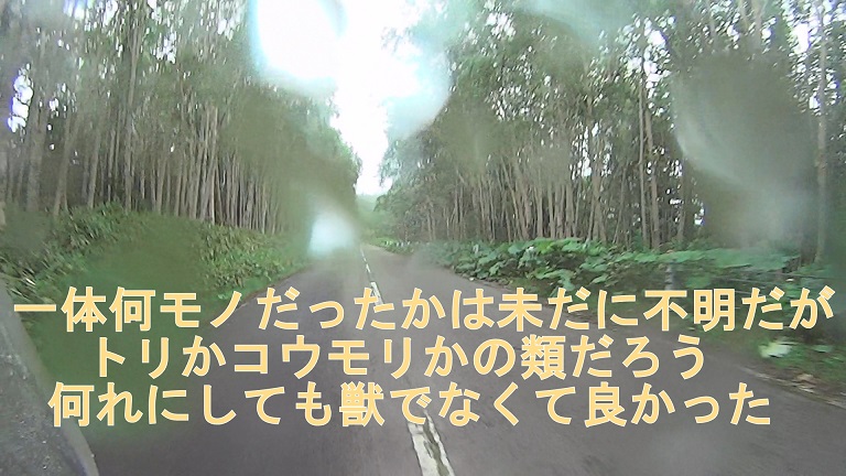 イメージ 10