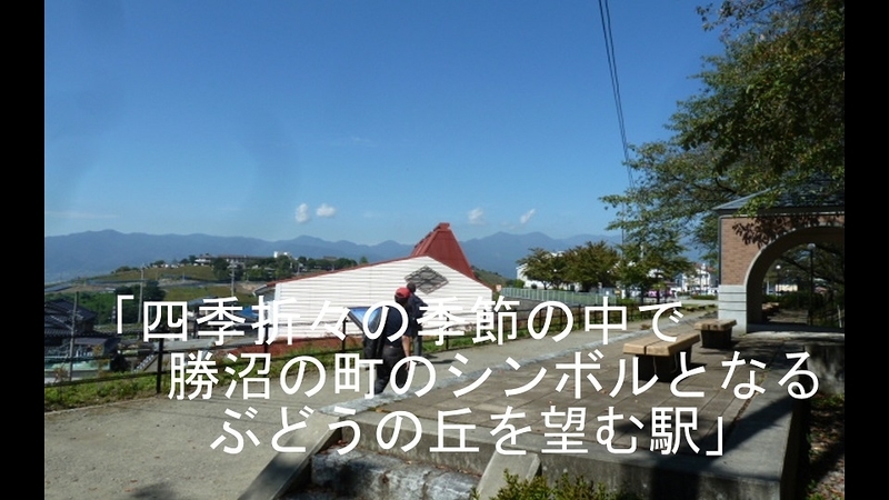 イメージ 21