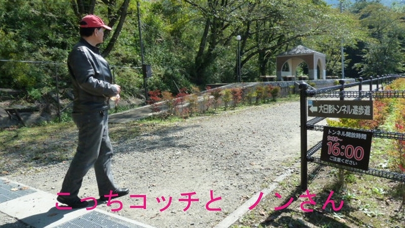 イメージ 7