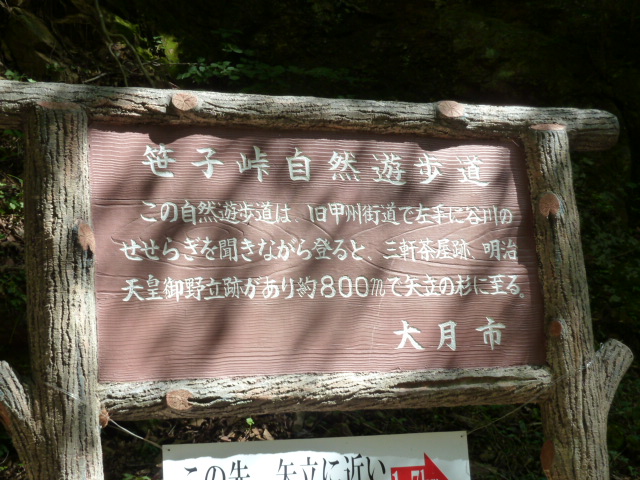 イメージ 14