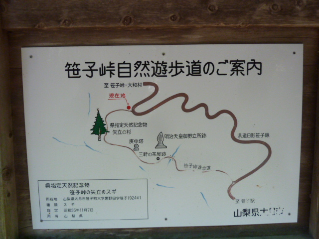 イメージ 15
