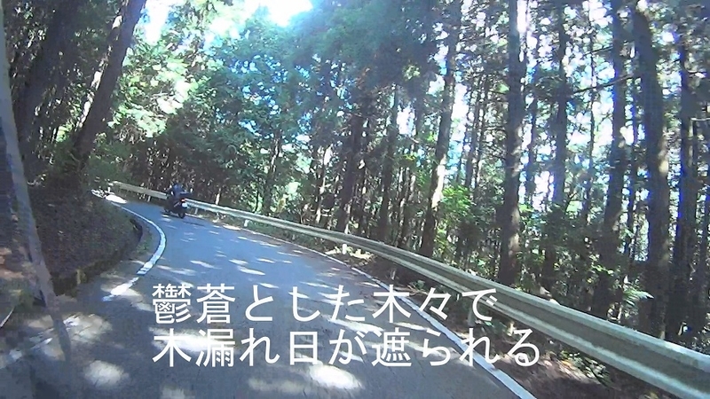 イメージ 8