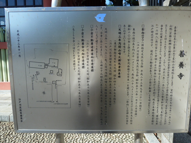 イメージ 7