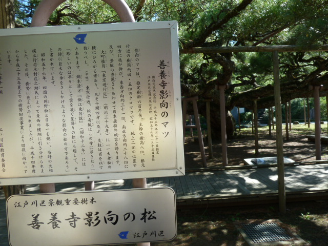 イメージ 8