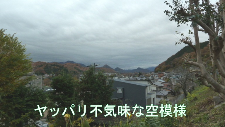 イメージ 13