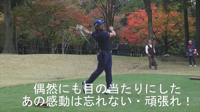 イメージ 28