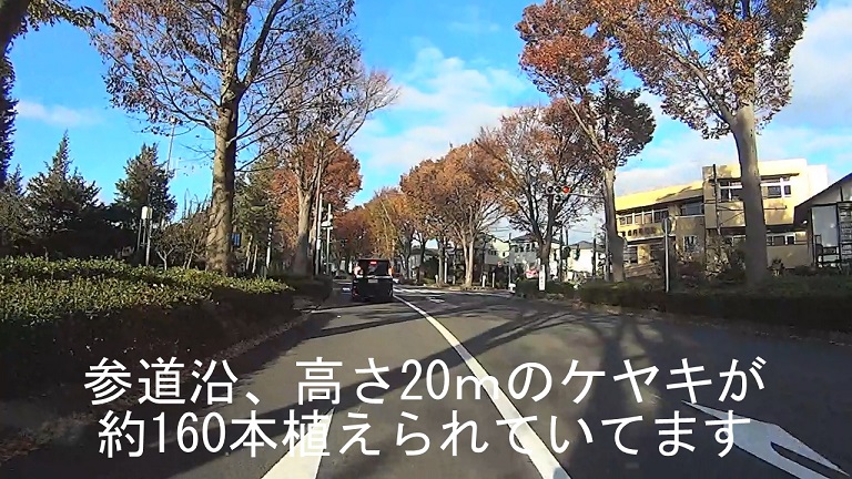 イメージ 12