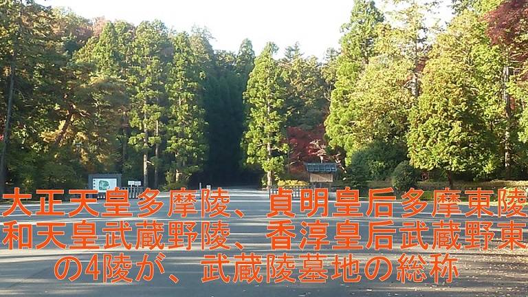 イメージ 15