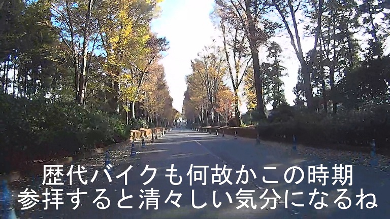 イメージ 16