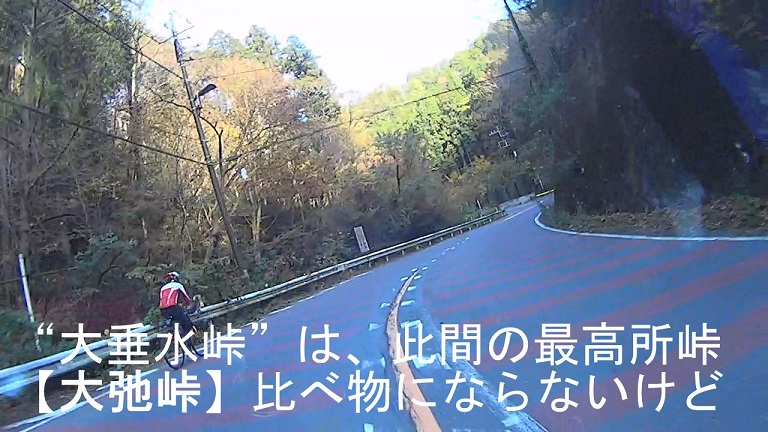 イメージ 19