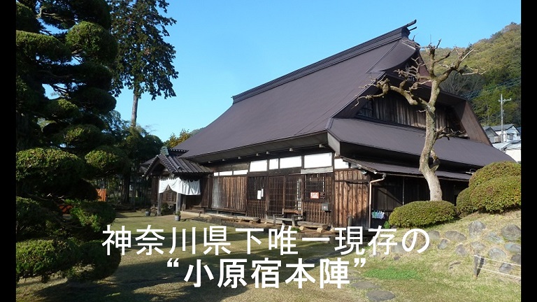 イメージ 25